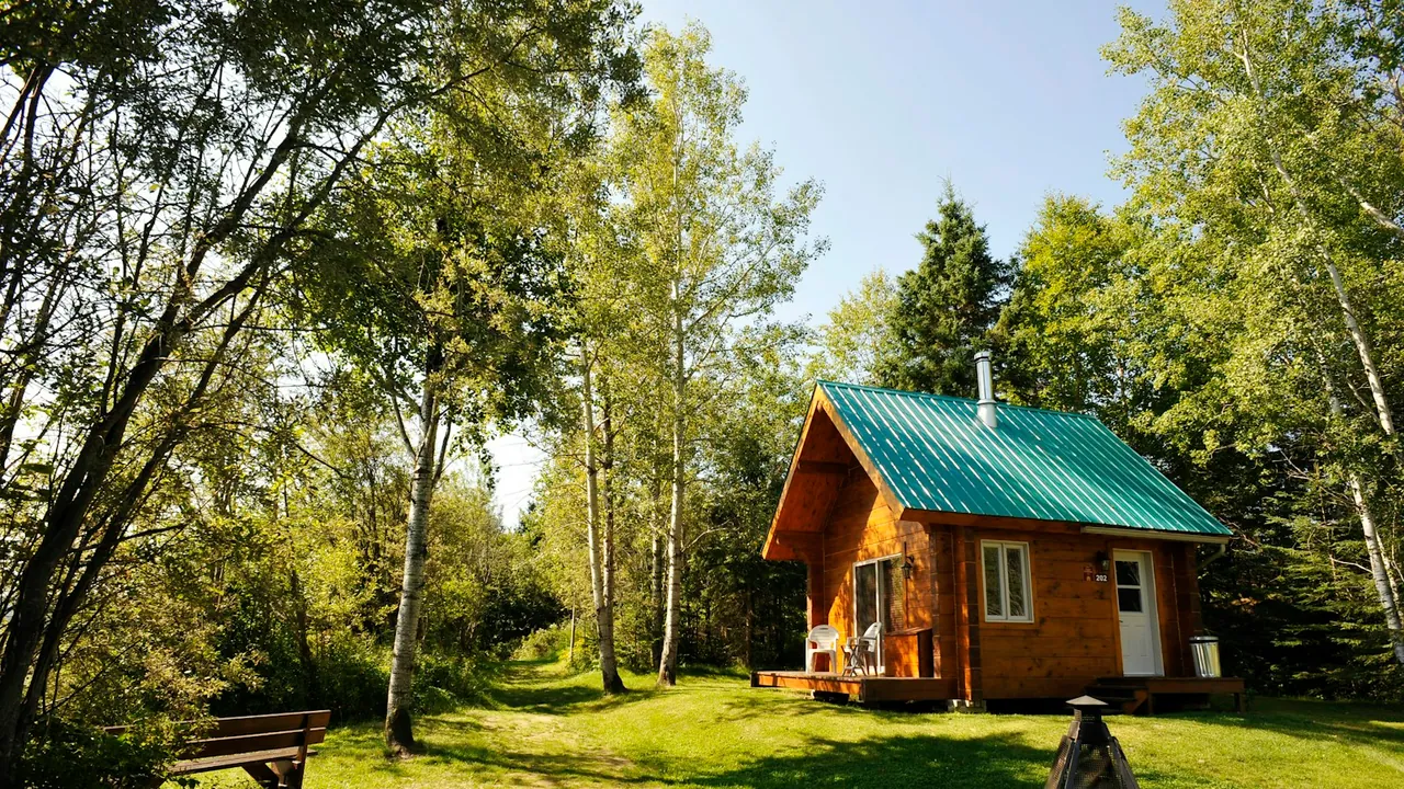 Small wooden cabin with a green metal roof in a sunny forest clearing, with a bench and a fire pit on the lawn.